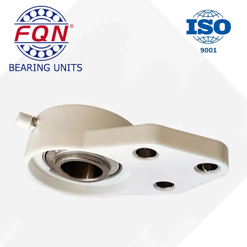 High Quality Ss-Ucppl206 Plastic Pillow Block Bearing Manufacturers